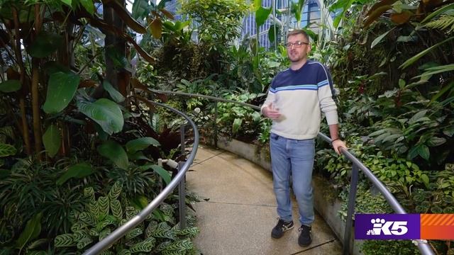 Tour the Amazon Spheres in Seattle where it's summer 365 days a year смотреть онлайн
