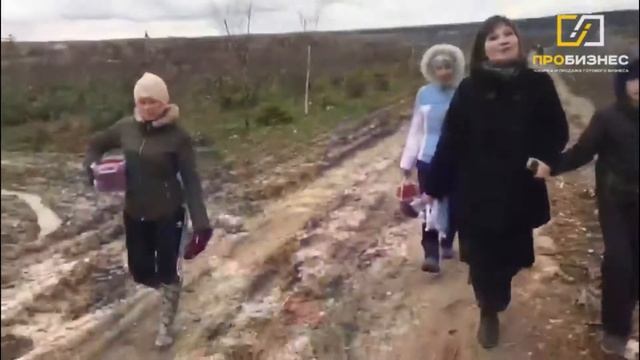 Урожайная плантация малины смотреть онлайн
