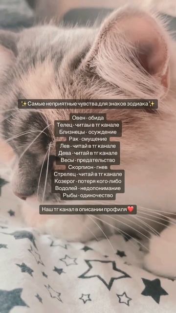 Лайк и подписка чтобы сбылось #гороскоп #знакзодиака #астрология #эзотерика #знак #предсказание #ле смотреть онлайн