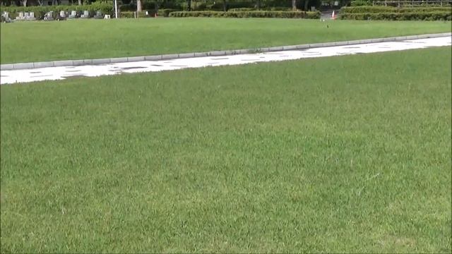 Free Flight Mini HLG JTS-E30 with Sony CX670 смотреть онлайн