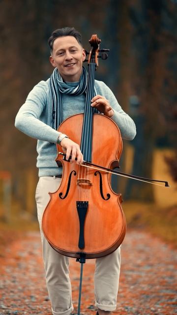 Can t Help Falling in Love ❤️- Elvis Presley#canthelpfallinginlove #fallinginlove #cover #lovesong смотреть онлайн