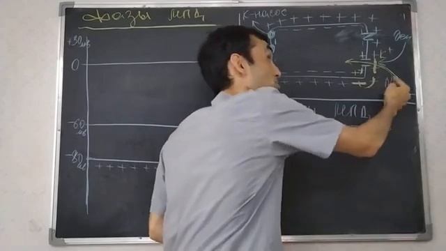 5 МПД смотреть онлайн