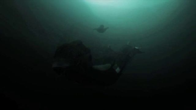 DEEP | JAMES NESTOR смотреть онлайн