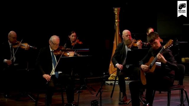 Rodrigo: Concierto de Aranjuez — II. Adagio [ending] смотреть онлайн