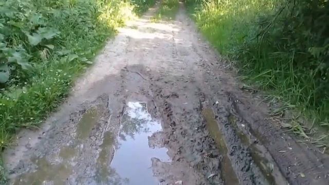 #Жизнь лесного жителя смотреть онлайн