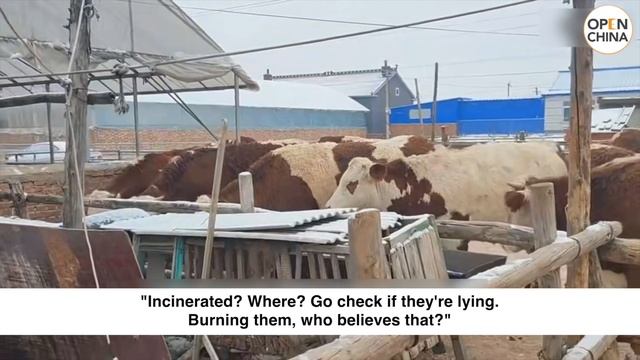 Chinese EV brands' zero self-combustion claim is a total scam смотреть онлайн