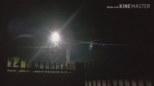 AMAZING BATS HUNTING!!!| Thousands of bugs with big wings(ubos;flying ants) смотреть онлайн