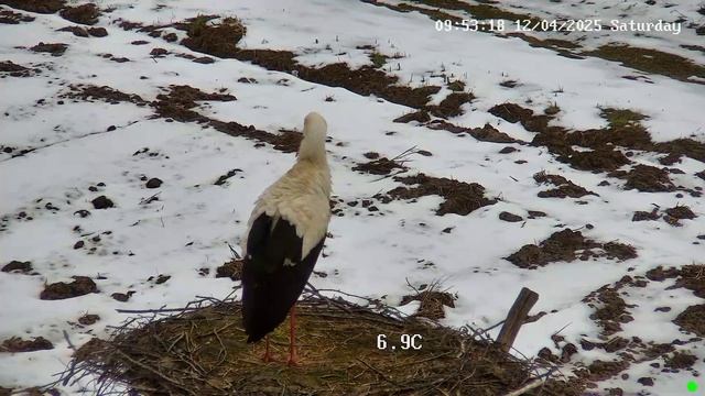 А вот и хозяева.