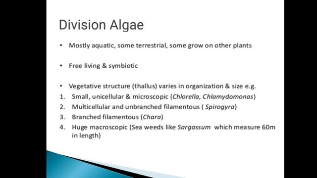 Class XI Biology Chapter 3 Kingdom Plantae Part 1 смотреть онлайн
