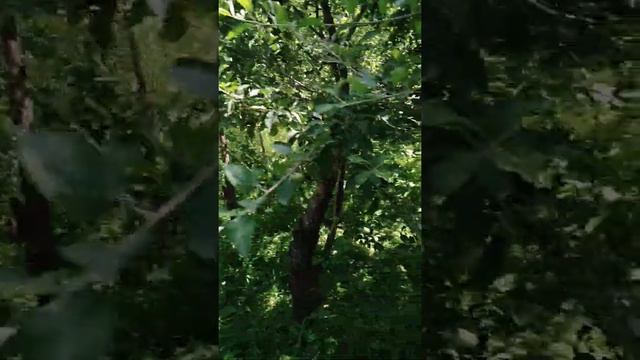 Уч-коргон смотреть онлайн