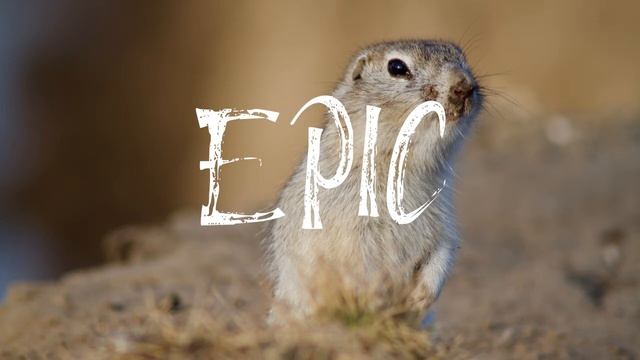 Chaël - Sparks (Epic No Copyright Music) смотреть онлайн