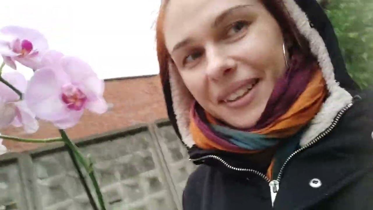 Огород растет // Купила орхидею // Они больше не выпадают! // Mariya VD LIFE. смотреть онлайн