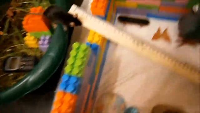 Мышиная комната смотреть онлайн