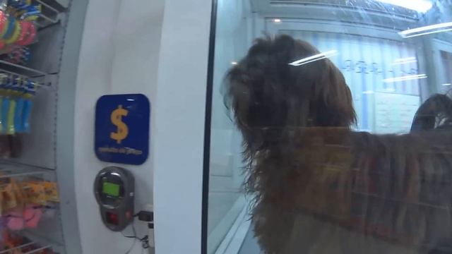 JÁ TE AMO DEMAIS! смотреть онлайн