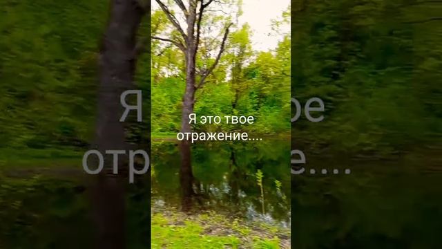 озеролюбви#отношения #таро #2024 #любовь #мироздание#мечтавосне#озероснов #природа #медитация♥️ смотреть онлайн