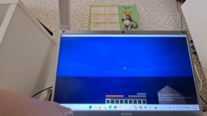 играю в Minecraft 10 минут