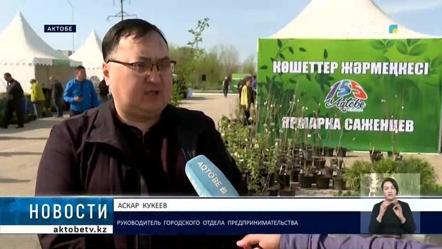 Ярмарка саженцев смотреть онлайн