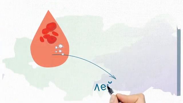 Из каких компонентов состоит наша кровь смотреть онлайн