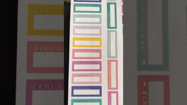 Happy Planner Neon Lights sticker book flip through смотреть онлайн