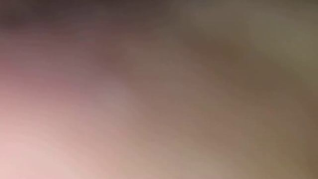 California alligator lizard. смотреть онлайн