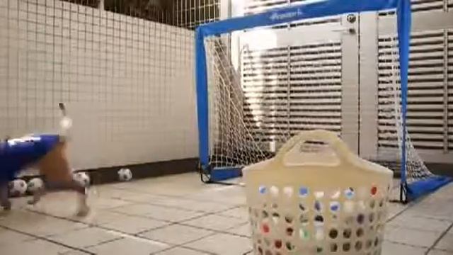 Вратарь собака ! Goalkeeper dog ! Как он это делает !!! Удивительно ))) смотреть онлайн