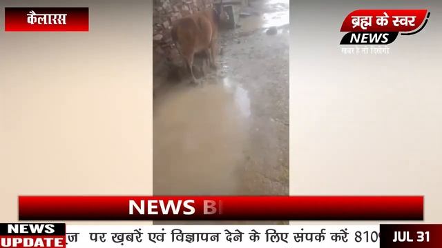 भुरावली से गौल्हारी रोड़ की पोल खुली एक महीने में смотреть онлайн