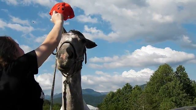 Примеряем кепочку Модная лошадка в кепочке смотреть онлайн