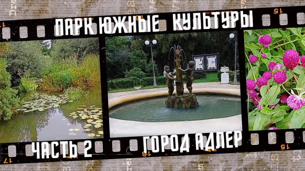 Парк Южные культуры, город Адлер 2022, часть 2. смотреть онлайн