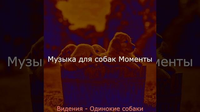 Настроения (Милые Собаки) смотреть онлайн