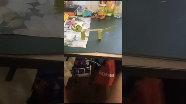 рассказ о динозаврах-трицератопс смотреть онлайн