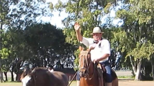 Лошади Аргентины смотреть онлайн