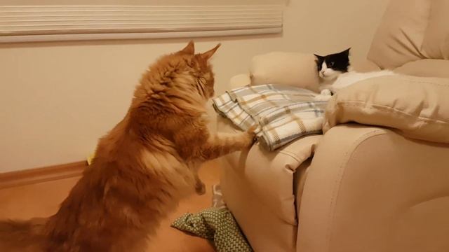 Девушка, давайте познакомимся! смотреть онлайн