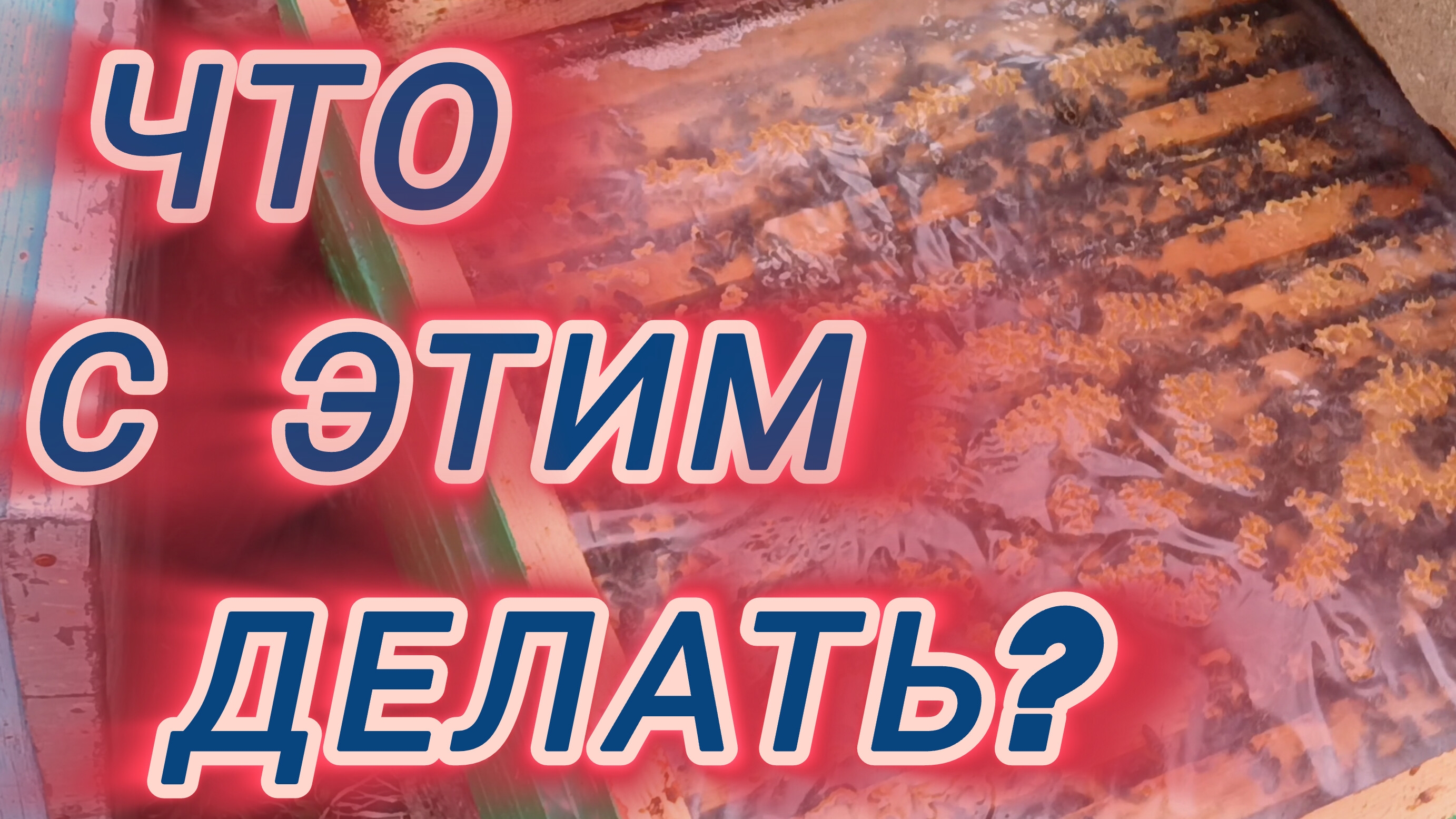 Что с этим делать? смотреть онлайн