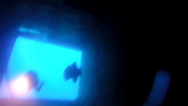 [GoPro Hero3+] Ägypten - Soma Bay - Diving at the Salem Express смотреть онлайн