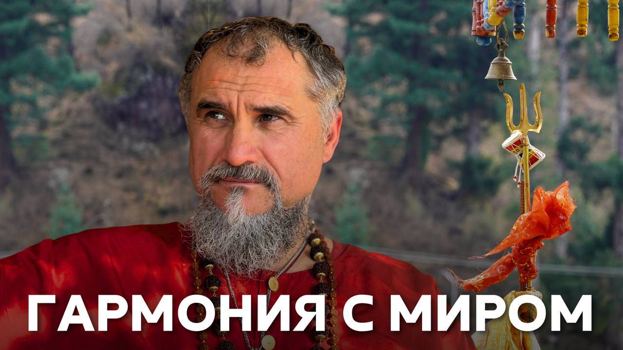 Гармония с Миром! 4 уровня духовных отношений: как Вселенная начинает вас питать смотреть онлайн