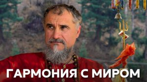 Гармония с Миром! 4 уровня духовных отношений: как Вселенная начинает вас питать