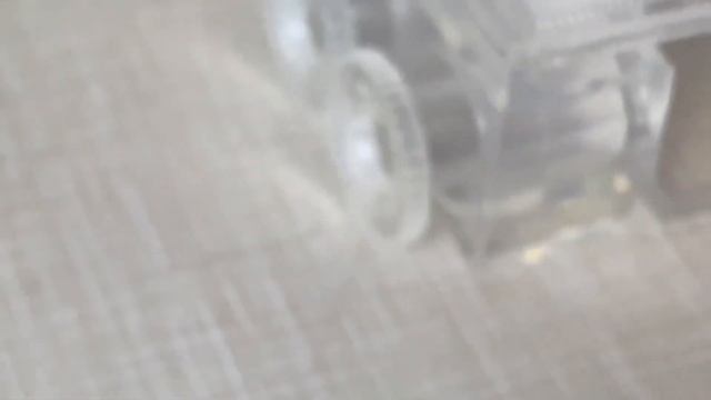 Feeding and cleaning my Crematogaster Ashmeadi! смотреть онлайн