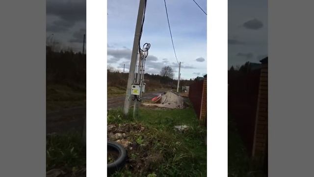 Нашествие кабанов🐗 смотреть онлайн