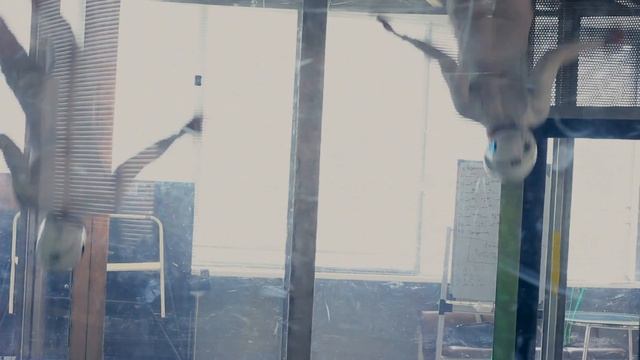 Freezone WindTunnel | Red alert team смотреть онлайн