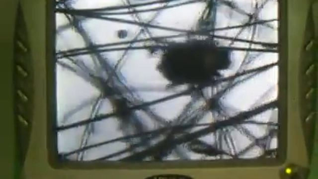 Cheyletiella смотреть онлайн