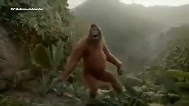 Wow3 смотреть онлайн