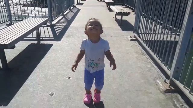 Murrays Bay Beach | New Zealand смотреть онлайн