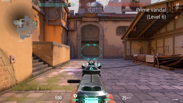 PRIME VANDAL SHOWCASE смотреть онлайн