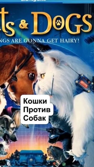 ПОЧЕМУ КОТЫ ВСЕГДА ЗЛОДЕИ?! смотреть онлайн