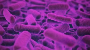 Архейская эра Формирование Земли и зарождение жизни