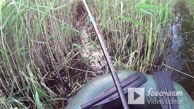 КАРАСИ ГИГАНТЫ живут в ТРОСТНИКЕ! смотреть онлайн