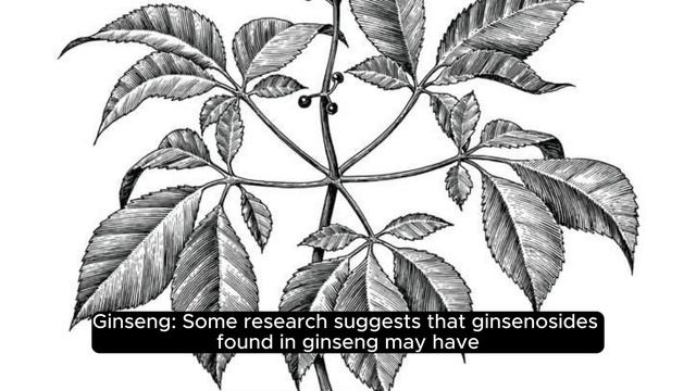 "Exploring Nature's Arsenal: 10 Herbs Studied for Potential Anti-Cancer Properties смотреть онлайн