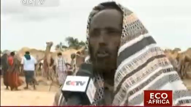 Camel: Measure of pride for nomadic Somalis смотреть онлайн