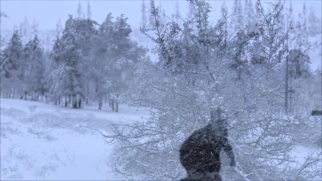 Тэт -а -тэт смотреть онлайн