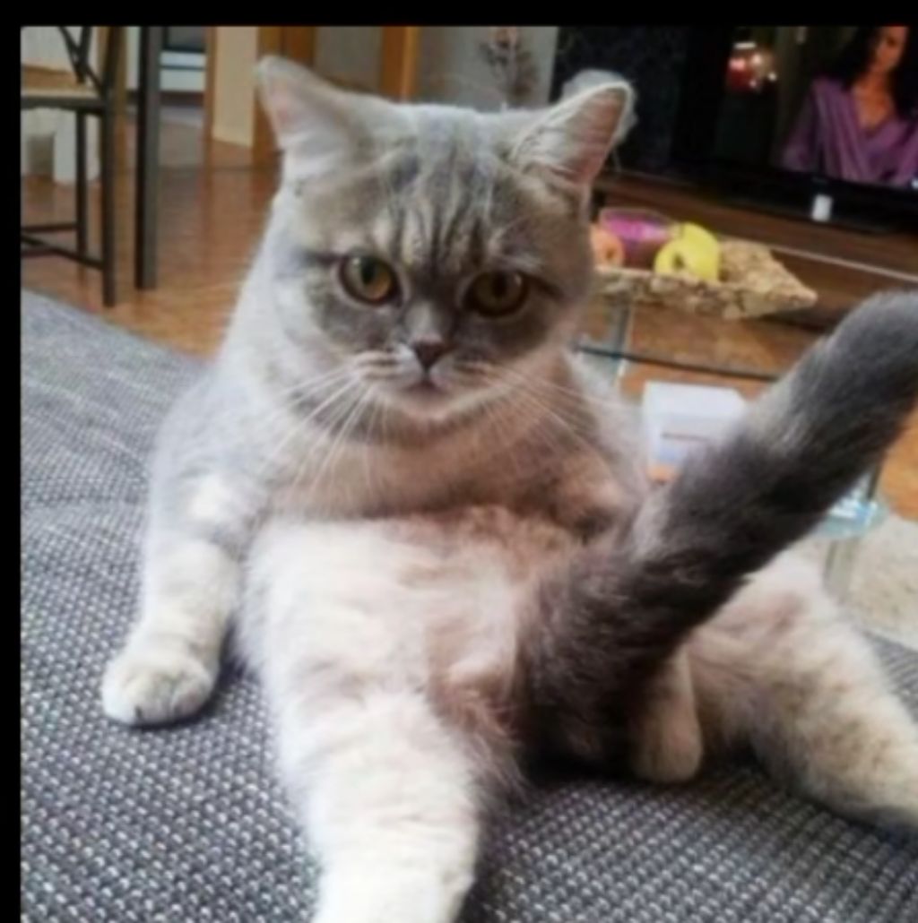 стрим на зарядке чееееек